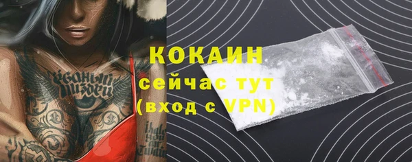 ГАЛЛЮЦИНОГЕННЫЕ ГРИБЫ Гусиноозёрск