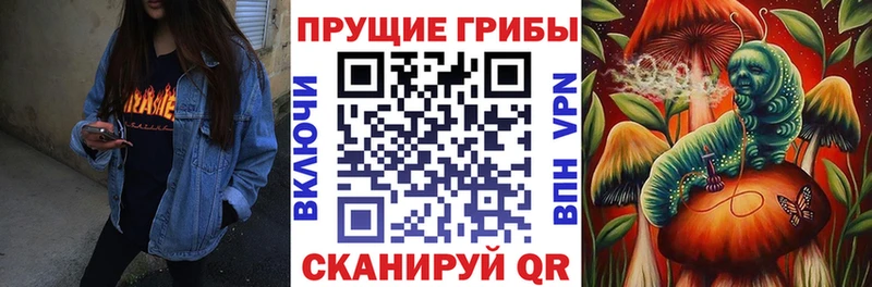 Псилоцибиновые грибы мухоморы  наркота  гидра tor  Орлов 